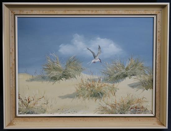 § John Houston O.B.E. R.S.A. R.S.W. (Scottish, 1930-2008) Terns flying over sand dunes 12.5 x 17.5in.